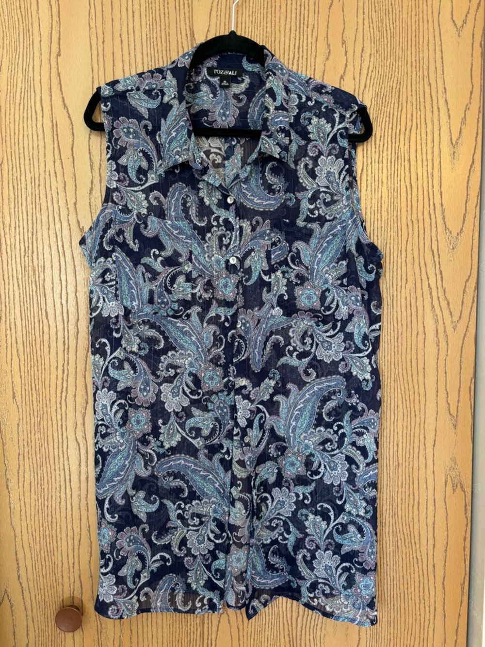 Roz & Ali Sheer Sleeveless Tunic Blouse